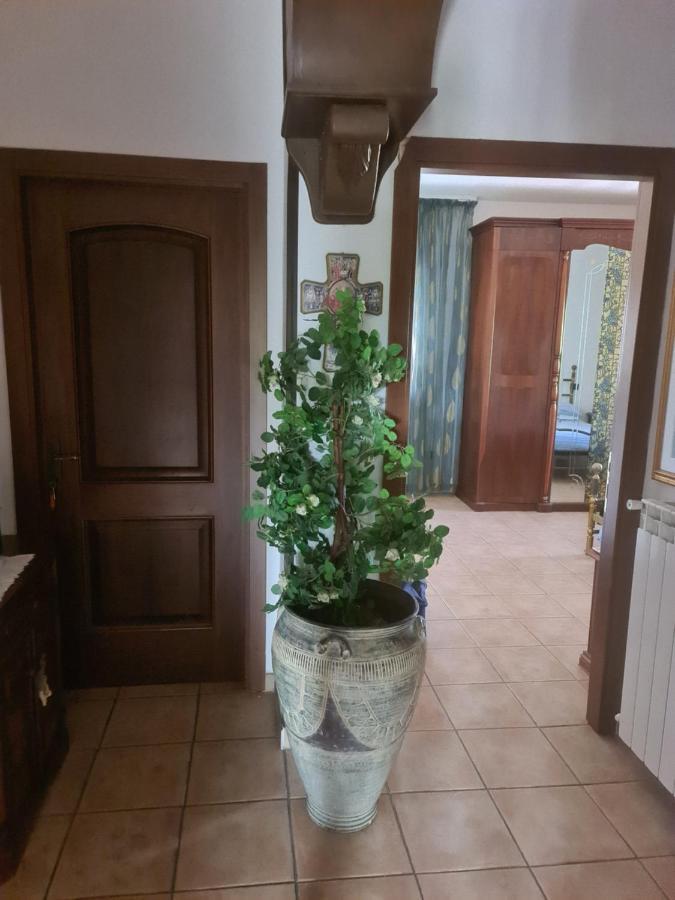 Novadomus Hotel Corfinio Bagian luar foto